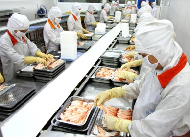 Shrimp exports expected to reach 5 bln USD by 2020
