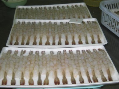 Rise in VN shrimp exports to Australia in Nov 2016 
