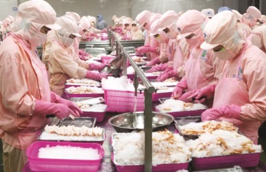 Minh Phu Seafood Corp earned over US$ 730 million from exports in 2014