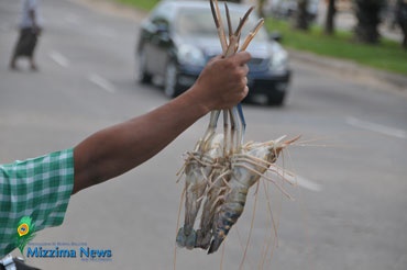 Myanmar-raised shrimp beginning to flow to US market
