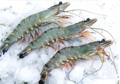 Japan removed regulation of 100 percent Ethoxyquin testing on Vietnam shrimp