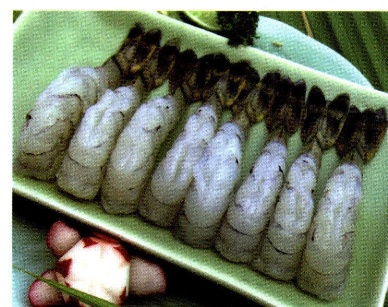 Bangladesh pushes for modernization of shrimp industry