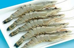 Indonesia to boost shrimp production in 2013 by 30%