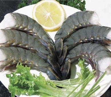 Vietnam’s live black tiger shrimp returned China after the ban