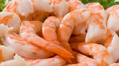 Shrimp Industry on Road to Recovery, say TUF Analysts