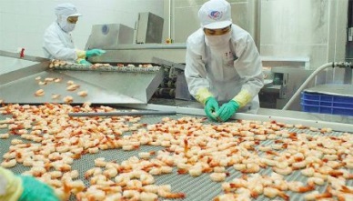 Vietnam shrimp exports to Korea Take advantages from VKFTA