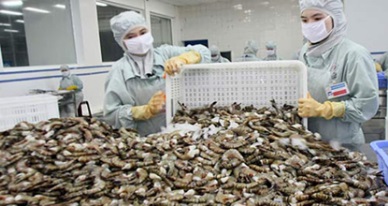 Bac Lieu Up 64 percent in seafood exports 
