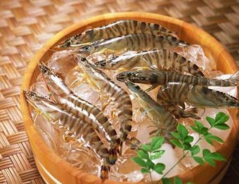 Shrimp exports in 2012 hard hit US$2.4 billion