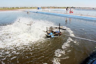 Delta to expand area for fisheries