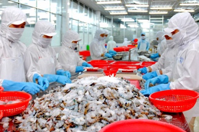 Mekong seafood processors working at 30% capacity due to unprecedented raw materials shortage