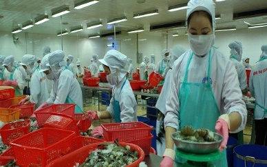 Vietnam shrimp exports hard hit by South Korea’s ethoxyquin test