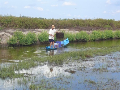 Ca Mau Shrimp farmers earn high profit from innovated extensive farming
