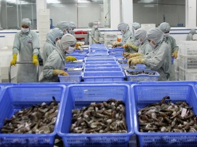The U.S. increased consumption of Vietnam shrimp