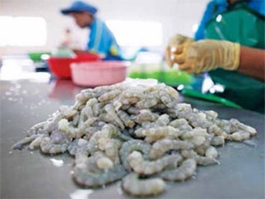 Seafood imports surge