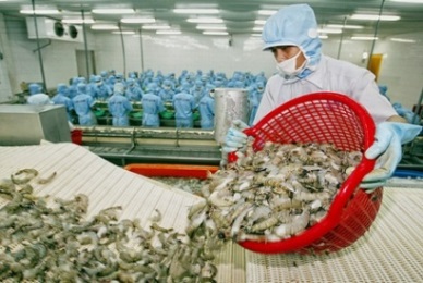 Jan-Feb 2016 Upswing in Vietnam shrimp exports 