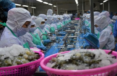 Vietnamese shrimp continues to dominate the UK market 