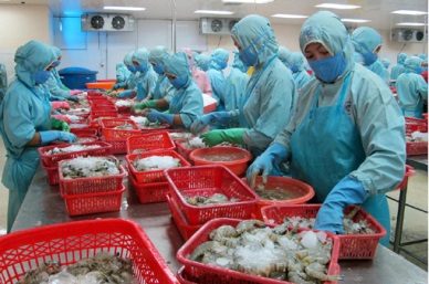 VASEP appeals against US anti-dumping duties on Vietnam shrimp