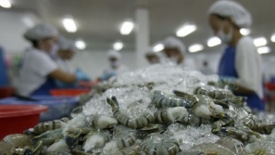 A 34.3% rise in Vietnam shrimp exports to China