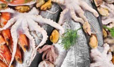 Overview on production and consumption trend of world fisheries and aquaculture