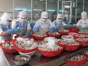 Tra Vinh Certifying over 200 MT of marine fish exported to EU 