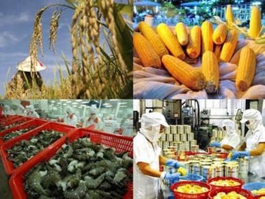 Open wide door for agro and seafood product exports to the Middle East