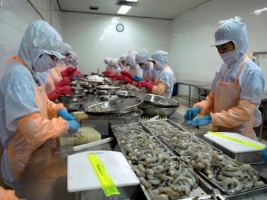 Vietnam shrimp exports to U.S to recover by the end of the year