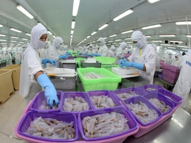 QII2016 Vietnam shrimp sales up 2.3%