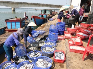 Agro-forestry-fishery exports hit 7.6 billion USD in Q1