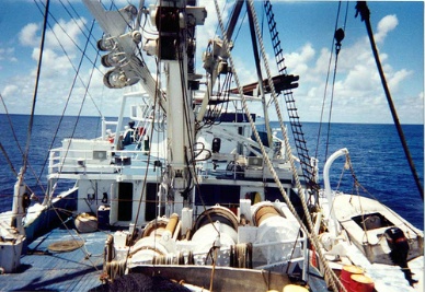 Bluefin tuna quota set for the first time in Eastern Pacific