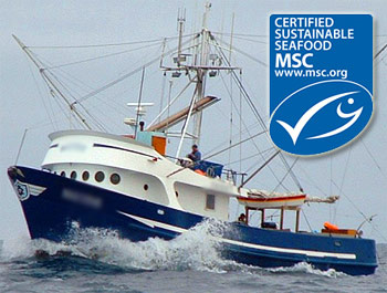 Major US Retailers Choose MSC For Tuna