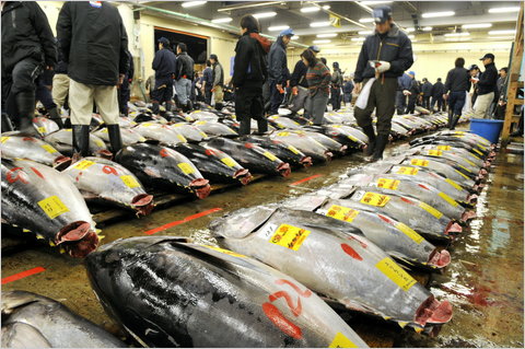 Philippines may lose tuna markets