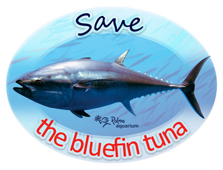 Greenpeace Scrap Tuna Ads, Invest In Sustainability
