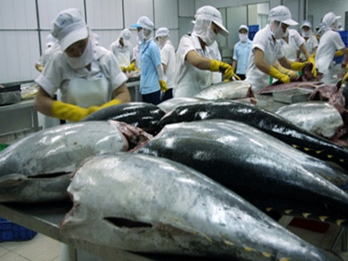 Vietnam is the second largest tuna supplier for the U.S
