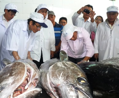 Japan highly appreciates tuna from Vietnam