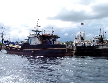 India modernizes tuna fleets, plans for mothership