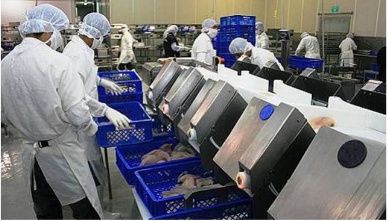 EU Proposes 2% Higher Tuna Price For Processors