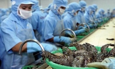 Vietnam shrimp exports rose slightly in QI2020 