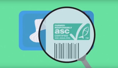 Pangasius your everydayfish – a safe, sustainable and responsible choice