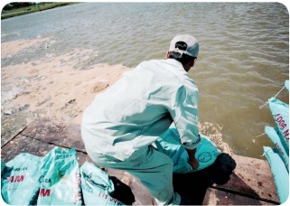 Enabling sustainable development in Vietnam’s pangasius industry