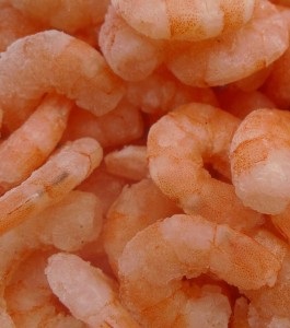 Chinese shrimp producer Evergreen cuts exports due to EMS, shrimp seed prices