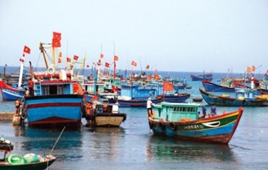 Kien Giang Up in exports of canned fish to Cambodia