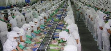 Vinh Hoan Corp exports most pangasius in January-April period