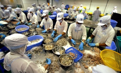 Opportunities seen in shrimp export to the US market