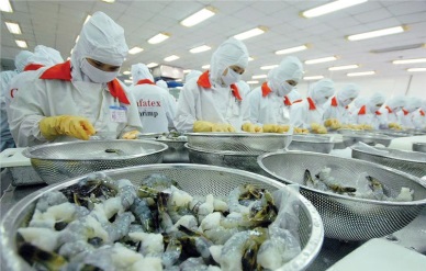 Korean shrimp imports from Vietnam surges in 2014 