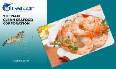 Vina Cleanfood More cooked shrimp sent to the EU