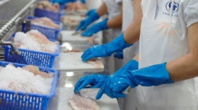 Vinh Hoan Corp earns US$58.3 million from exports  