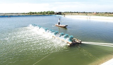 Viet Nam to set up five fishery centres