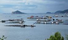 Aquaculture zone to be turned into port