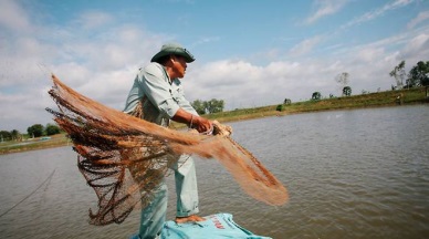 Seafood production continues rising in September