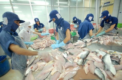 U.S. remains VN’s top seafood export market